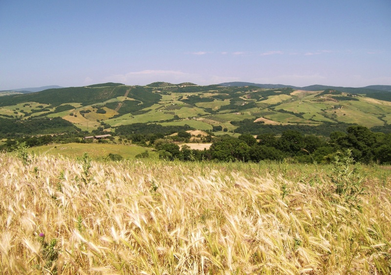 Una tarda primavera sulla Tolfa